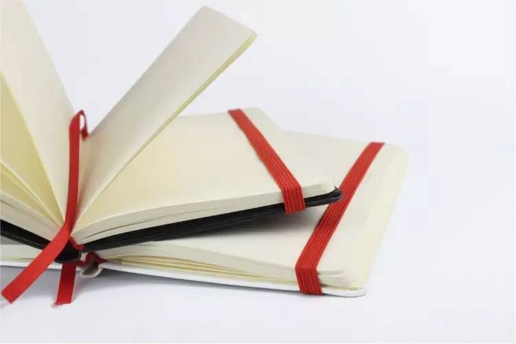 没有故事的小黑和小白