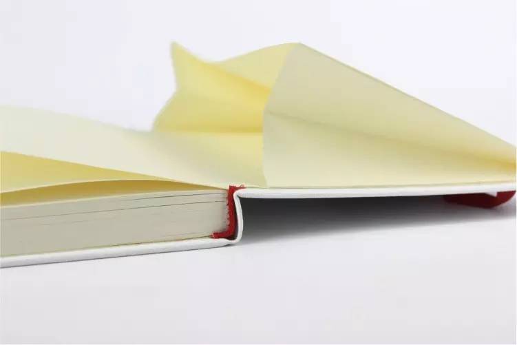 没有故事的小黑和小白