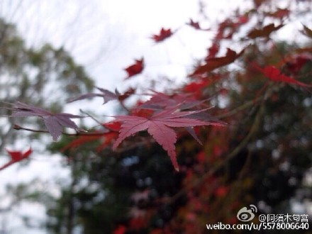 1988年外国地震,回忆2011年3月11日地震
