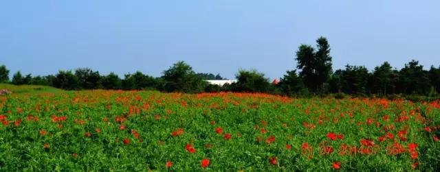 辽源旅游特产推荐,辽源有哪些旅游景点介绍图片
