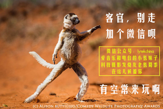 人人模仿苹果的时代，还有谁在做自己？