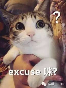 当魔法杖都能变成吹风机，一把菜刀卖一万元又算得了什么呢！