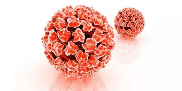 hpv26型号阳性怎么办,Hpv阳性怎么办