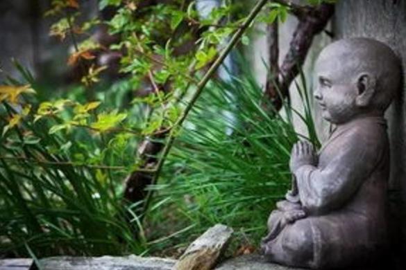 是非不辩即解脱的下一句是什么,是非总以不辩为解脱