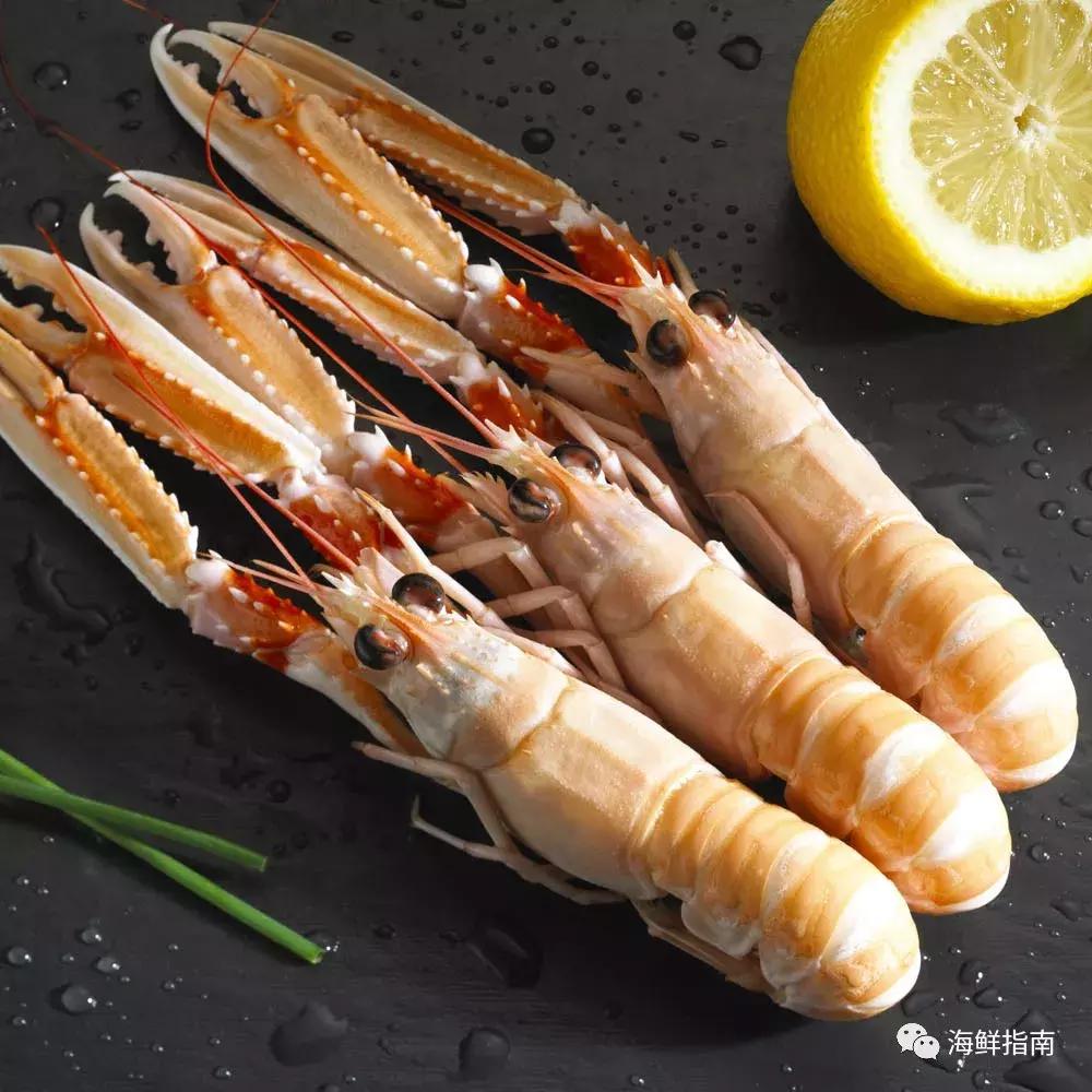 新西兰海鳌虾刺身,爱尔兰鳌虾刺身优惠