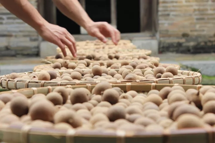 桂圆干：进补佳期，补气血驱寒暖身