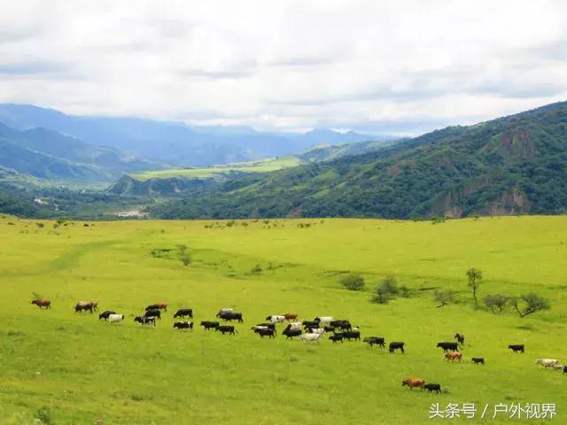 电影旅行阿根廷,阿根廷旅游攻略签证
