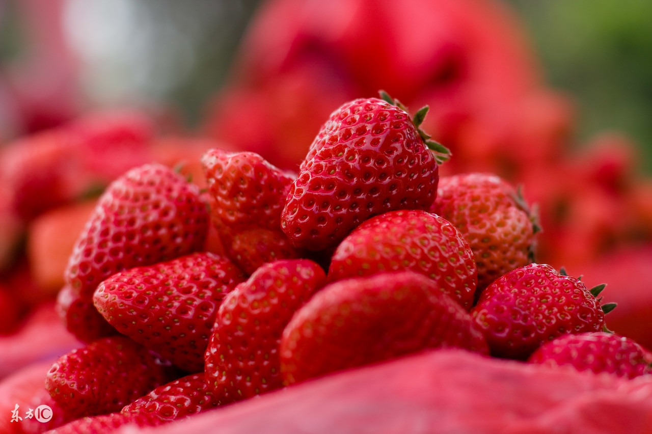 这8个冷知识你可能还不知道，快来涨姿势吧