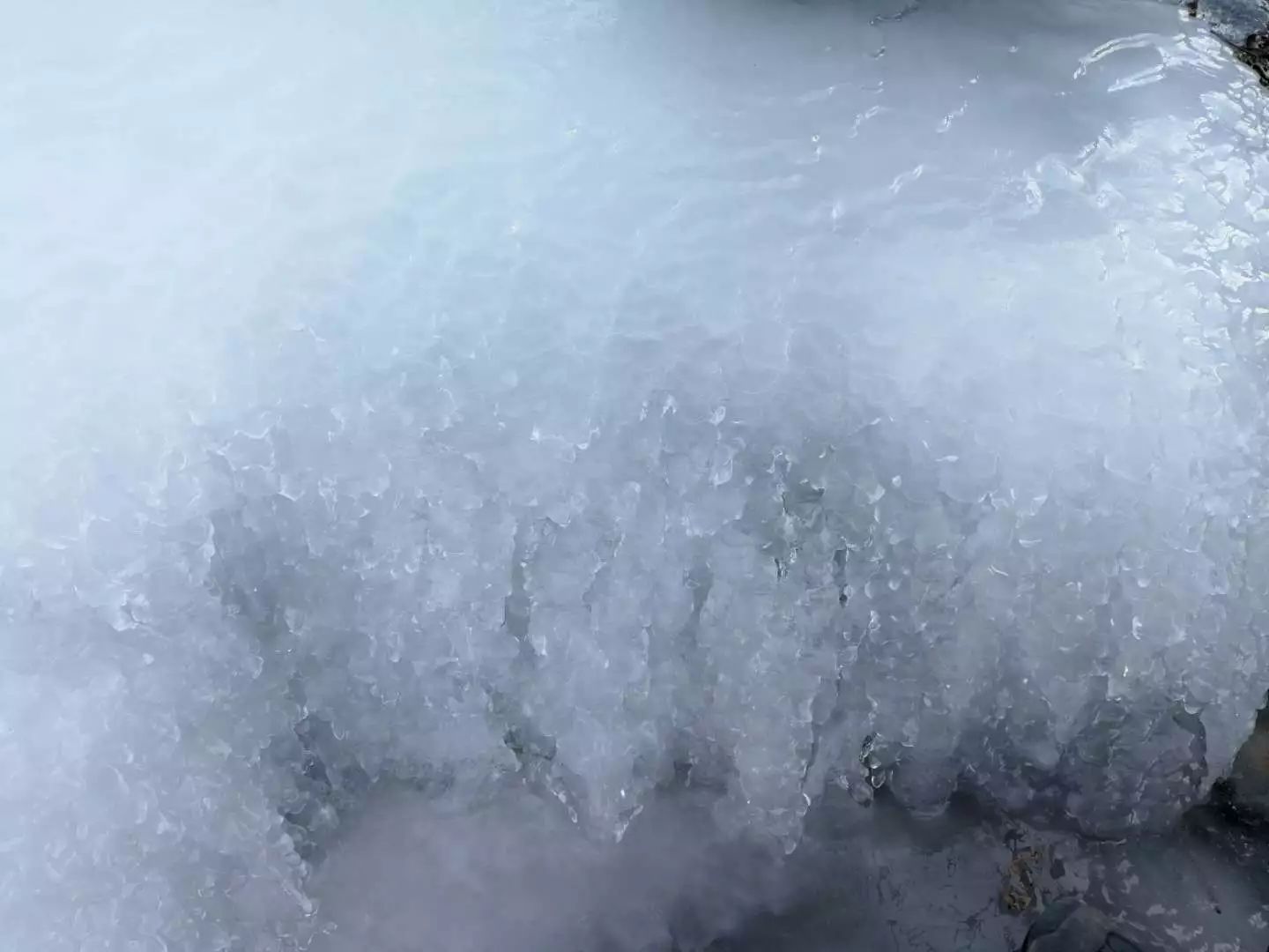 柳沟豆腐宴几个人最划算,柳沟豆腐宴几号最好吃