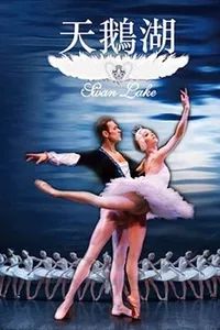 深圳本周有什么活动,最近深圳周末有什么活动吗