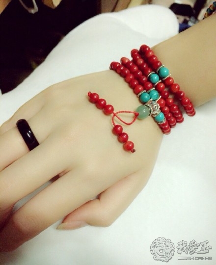 什么样的珊瑚是最好的,最好看的十种珊瑚