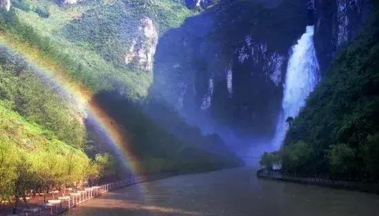 竹的海洋,竹子的海洋