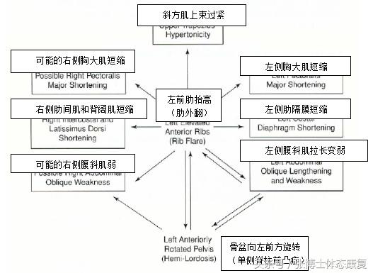 颞颌关节弹响开口偏歪,咬合歪关节弹响