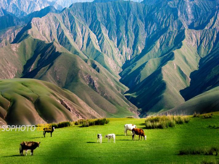 图片摄影师怎么赚钱,图片库摄影师一个月收入