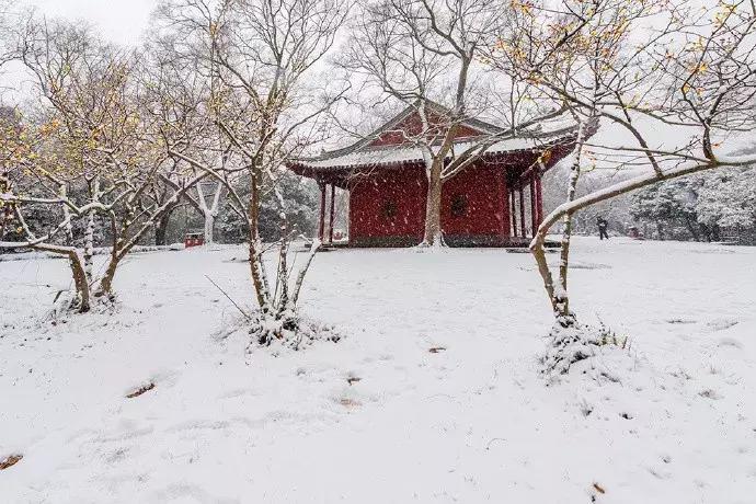 10首经典诗词,十一首情诗