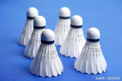 初学者如何选择羽毛球衣服,羽毛球装备都需要买什么