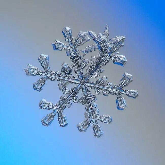 历时8年用微距镜头拍摄的雪花,超级微距拍摄雪花