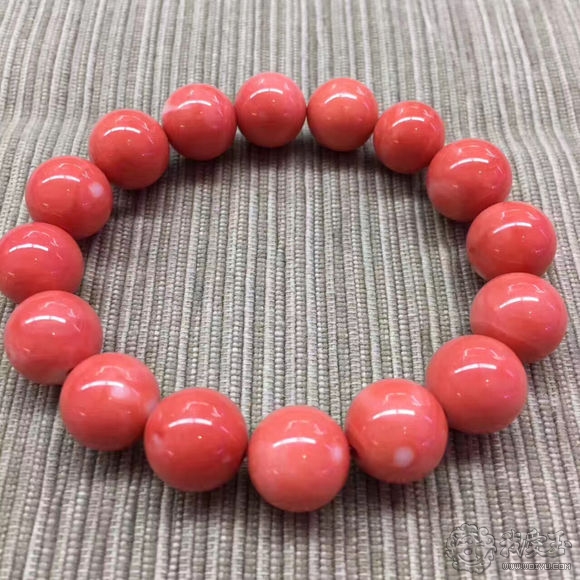 什么样的珊瑚是最好的,最好看的十种珊瑚