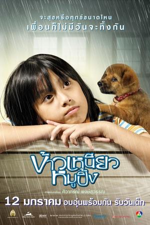 泰国感人青春电影推荐,治愈心灵高分电影