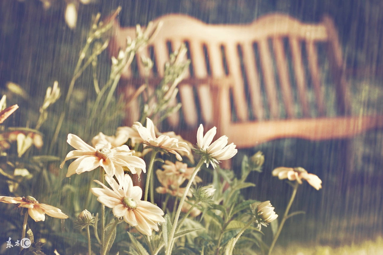 娓╂鼎濡備粬鐭ヤ箮,娓╂鼎濡備粬