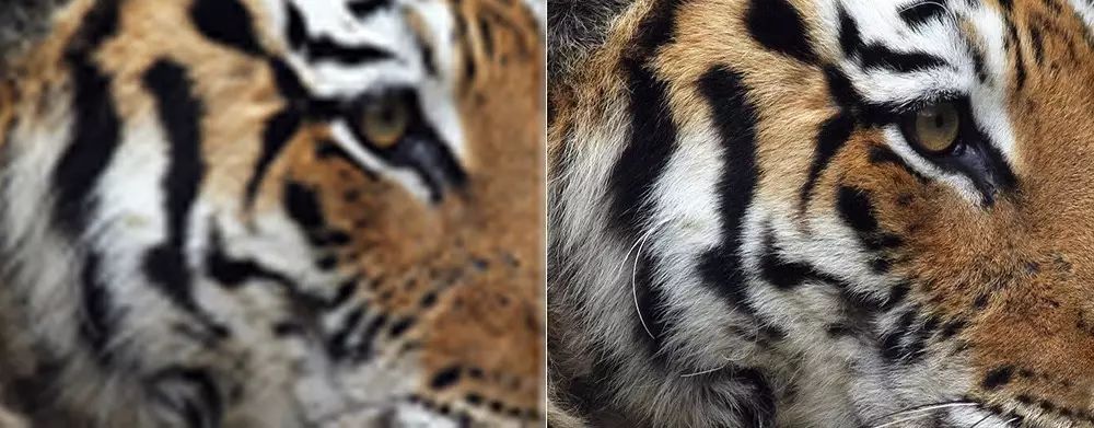 一副好耳机到底能给英语学习带来什么好处呢？