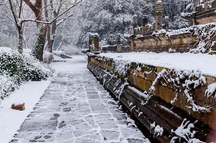 10首经典诗词,十一首情诗