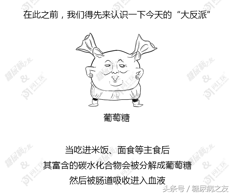 二甲双胍控糖药效多久,二甲双胍控制血糖效果