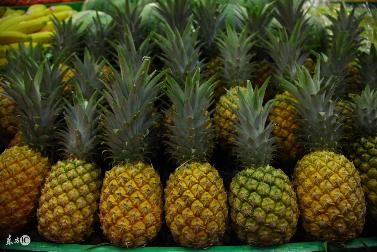 来三亚旅游带点什么特产回家,来济南旅游带什么特产回家