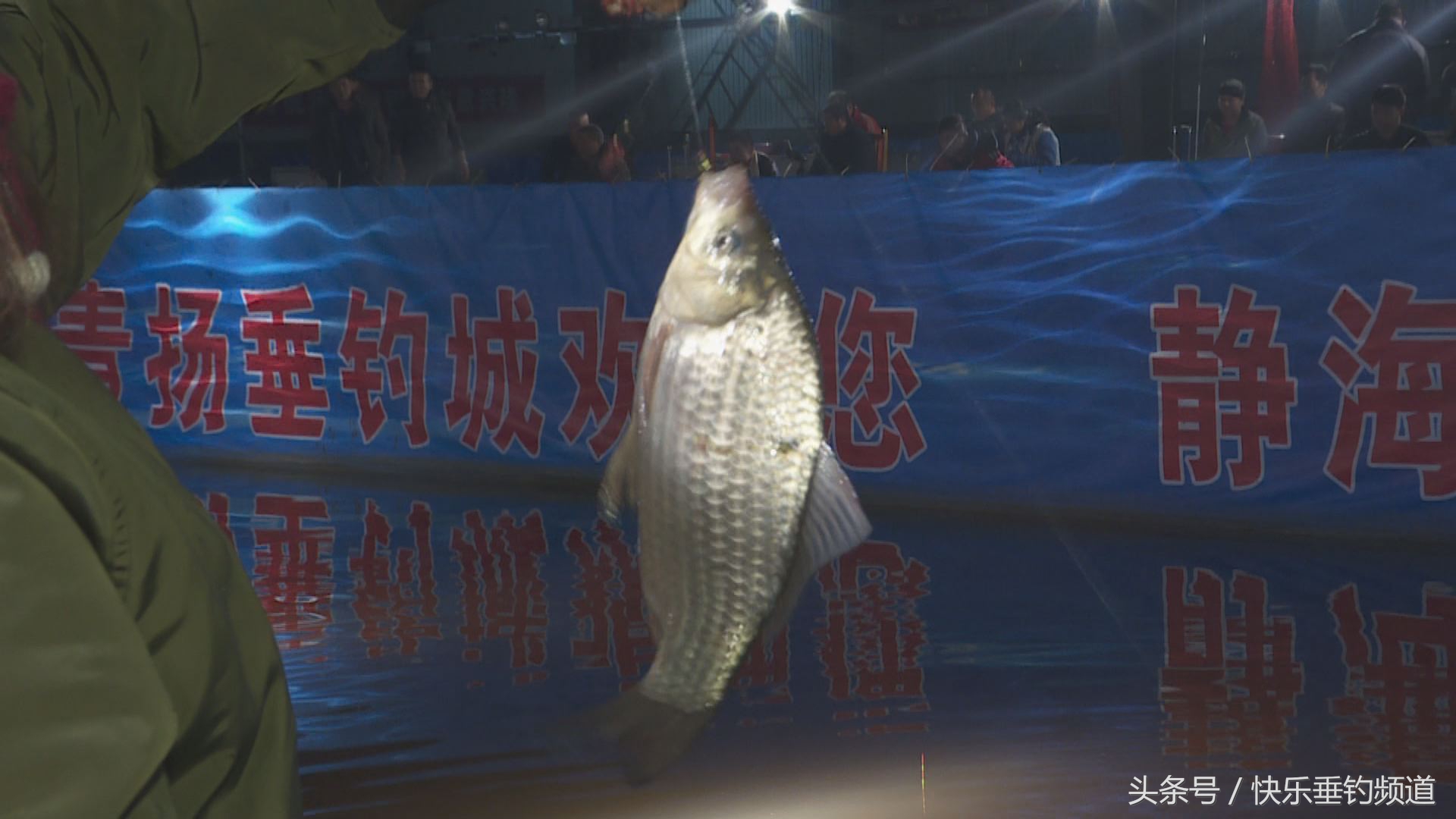 鱼口慢怎么钓,鱼口慢又少怎么调漂