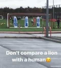 伊布回归球场完整版,伊布回归米兰后视频