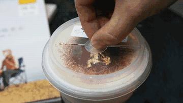 2017年我在上海,我向这些美食势力低头!超过半数没吃过的举手!