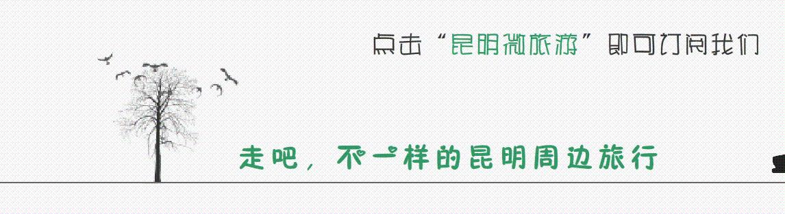 昆明坐火车绿皮去西双版纳,昆明坐高铁去西双版纳沿途风景