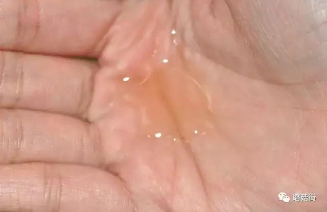 十大良心护肤水排行榜,十大公认最好的护肤水