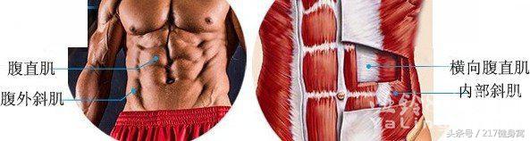 马甲线练习多久能有马甲线,马甲线是咋样的才叫马甲线