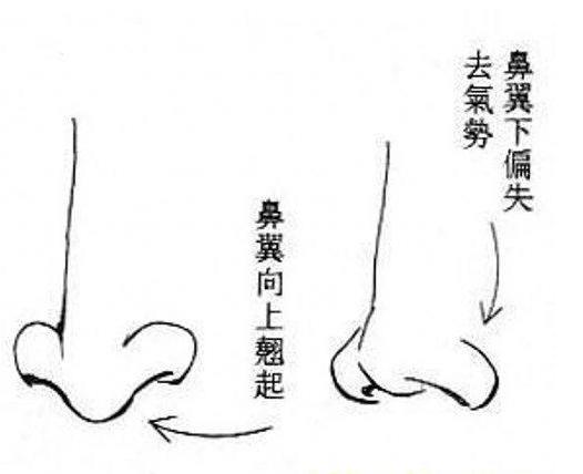 手相的相法,手相教程姻缘