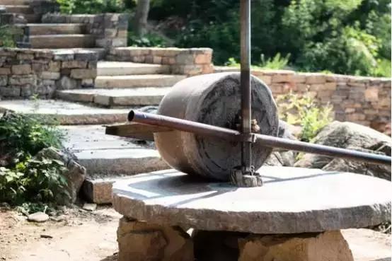 有什么项目可以拿国家补贴,国家扶持的项目补贴能给吗