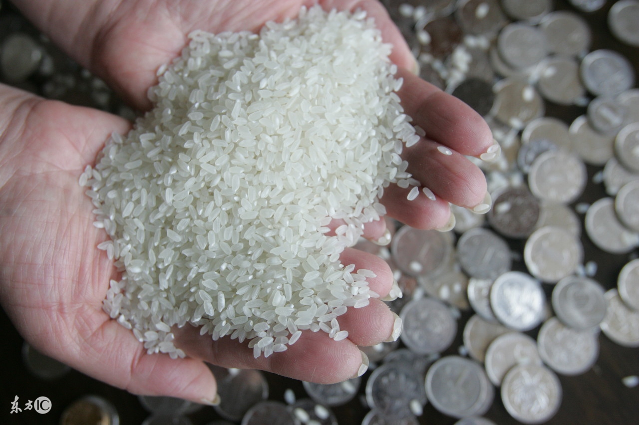 人工合成的大米是真的吗,塑料人造大米是真的吗