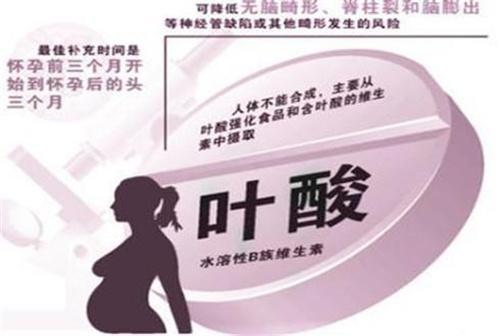 怀孕早期安胎食谱推荐,孕早期安胎食谱菜谱