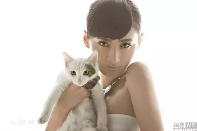 陷“三级片”风波、当过雅妓的“横店女王”为何不火？