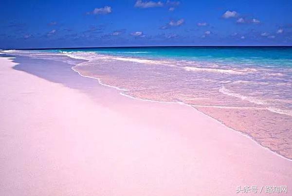 白本护照跨国旅游,白本护照旅游去哪个国家比较好