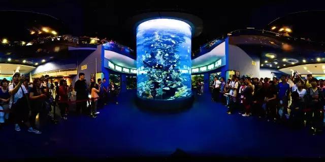 青岛冬天一日游最佳景点一览表,青岛的冬天有多浪漫