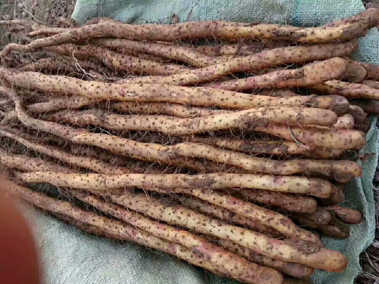 小本创业实现您的财富梦,小本创业商机是什么