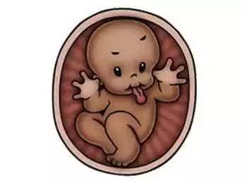 不用做B超也能知道:胎儿的头在哪,脚在哪!