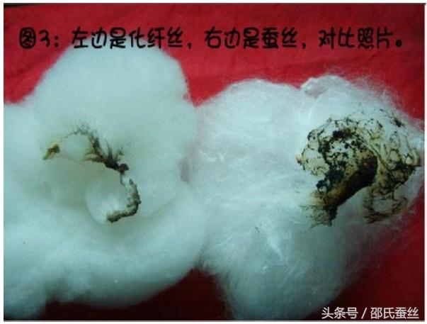 蚕丝被涤纶被面,220*240的被子蚕丝被