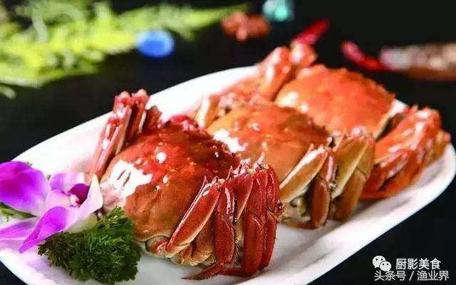 中国的螃蟹,螃蟹大赏的图片