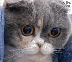 摄影全套课程分享,摄影教程干货新手必看