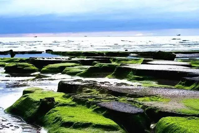 这个元旦，我要从南走到北，看看这大大的中国！