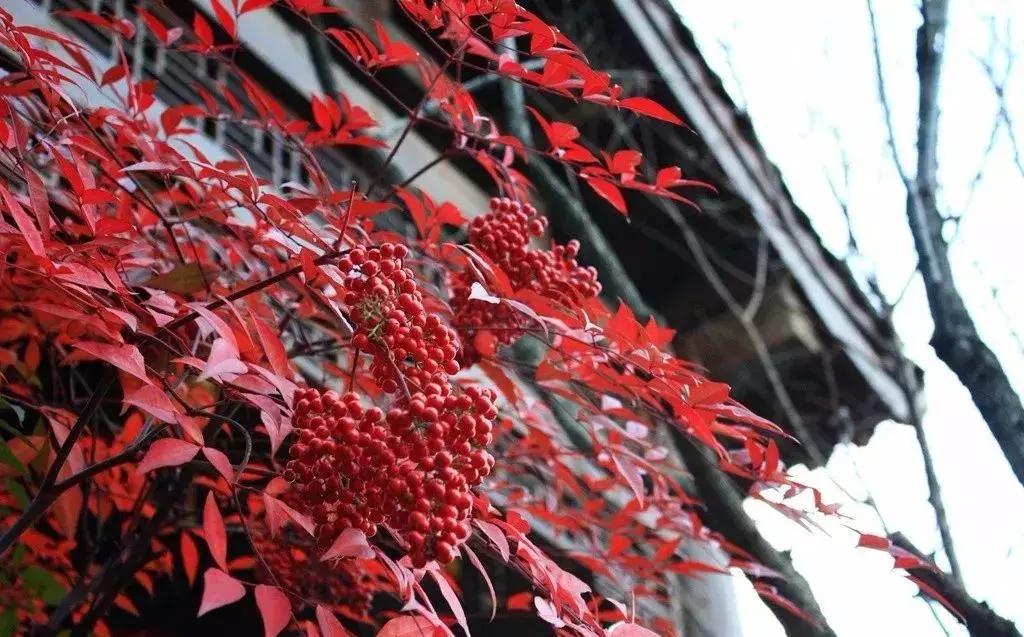 人总要有向往才能去你想去的地方,每个人的内心都有一些想去的远方