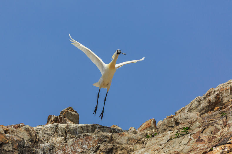 家乡之美美篇,家乡之美原唱完整版