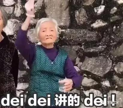 怎么养出亲人的荷兰猪,怎么样才能养出乖的荷兰猪